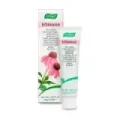 CREMA ECHINACEA 30 GR