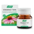 ECHINAFORCE FORTE COMP. 30