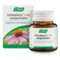 ECHINAFORCE KIDS COMP. 80