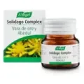 SOLIDAGO COMPLEX 30 COMP
