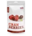 Arándanos rojos BIO 200 G BIO