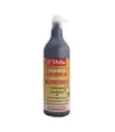 CHAMPÚ VITAMINADO EDAD ESCOLAR 1000ML