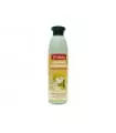 CHAMPU VITAMINADO EDAD ESCOLAR 250 ml  D'SHILA
