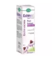 ECHINAID EXT. S/A
