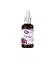 RICIGRAN ACEITE DE RICINO PARA PEST