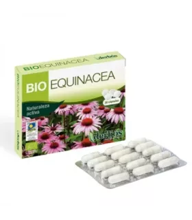 Imagen del sistema inmunológico