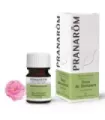 ROSA DE DAMASCO FLOR 5 ML
