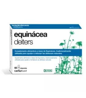 Imagen de Equinácea Deiters