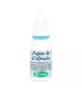 Imagen de la planta Eufrasia
