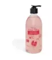 GEL ALOE VERA CON GRANADA 500 ML