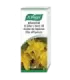 Imagen de brotes y flores frescas de hipérico