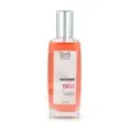 AMBIENT.PUL. SYS 100ml CHICLE
