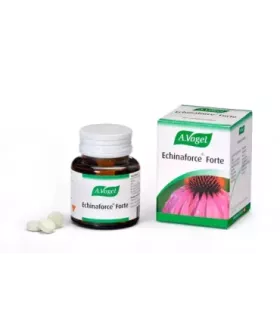 Suplemento de Echinacea purpurea para fortalecer la resistencia en invierno