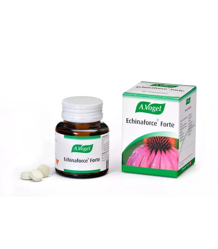 Suplemento de Echinacea purpurea para fortalecer la resistencia en invierno