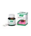 ECHINAFORCE FORTE COMP. 30
