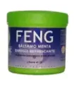 UNGUENTO BALSAMO MENTA 500ML FENG SHUI