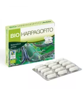 Imagen del aparato osteo-articular