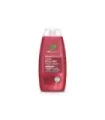 GEL DE DUCHA ROSA DAMASCENA 250ml