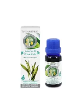 Imagen de aceite esencial de árbol de té (Melaleuca alternifolia) con aroma fresco