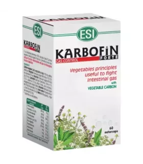 Imagen del complemento alimenticio de carbón vegetal con hinojo