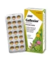 GALLEXIER 84COMP