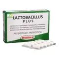 LACTOBACILLUS 60CAP INTEGRALIA