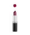 BARRA DE LABIOS PINK ROSE 4,5 gr.