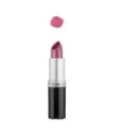 BARRA DE LABIOS HOT PINK 4,5 gr.