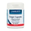 GINGER 60TAB