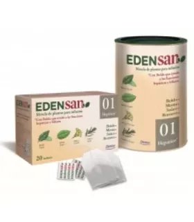 Infusión de plantas secas con Boldo