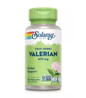 Imagen de raíz de Valeriana desecada