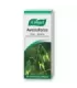 Imagen de Avena Sativa