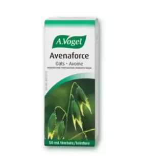 Imagen de Avena Sativa