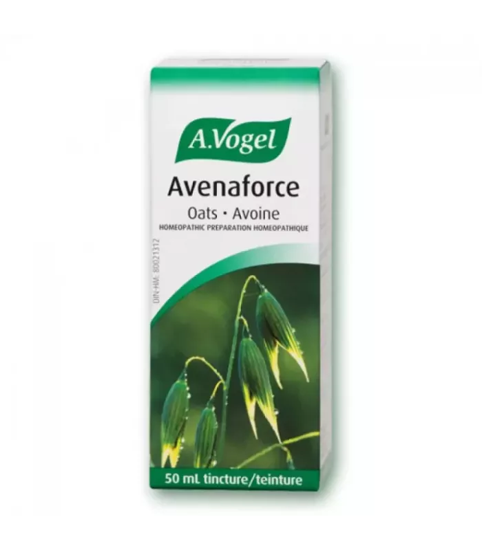 Imagen de Avena Sativa