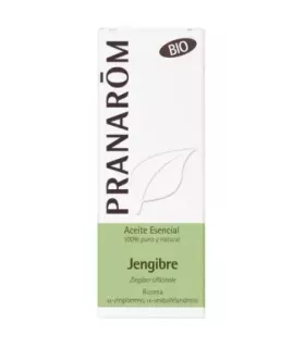 Rizoma de jengibre