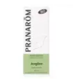 JENGIBRE BIO 5 ML ACEITES ESENCIALES