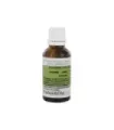 JENGIBRE 30ML