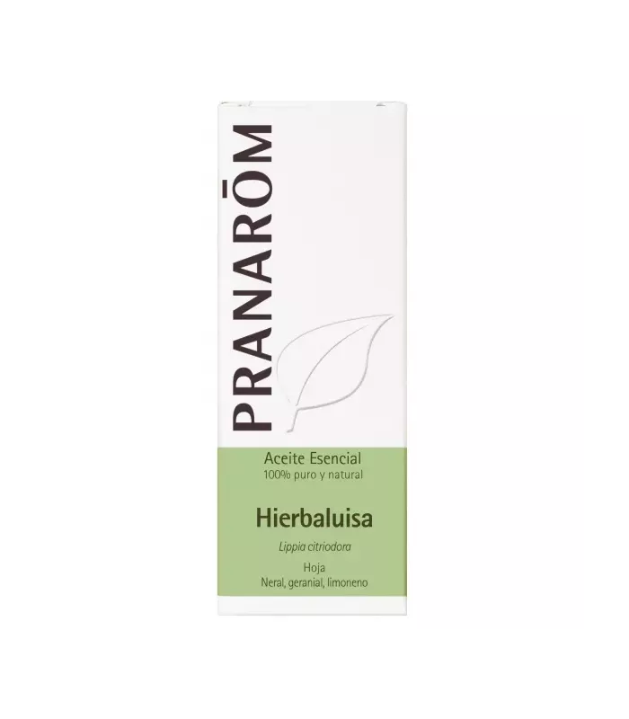 Imagen de hojas de una planta aromática originaria de América del Sur