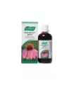 ECHINAFORCE GOTAS ML 50