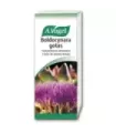 BOLDOCYNARA GOTAS 100ML