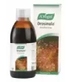 DROSINULA JARABE ML 200