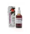 COMPOSOR 40 CIRCUVEN COMPLEX S. XXI