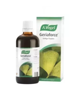 Imagen de hojas frescas de Ginkgo biloba