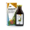 SALUDYNAM 250ML.