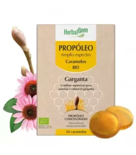 Imagen de propóleo