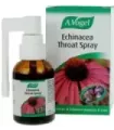 ECHINAFORCE SPRAY ML 30