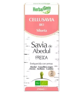 Imagen que ilustra la retención de agua y la celulitis