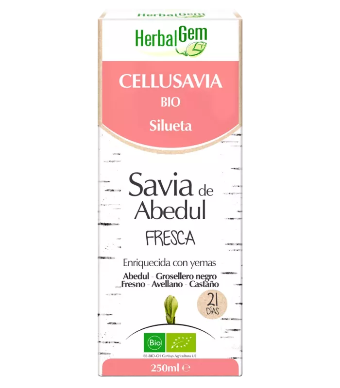 Imagen que ilustra la retención de agua y la celulitis
