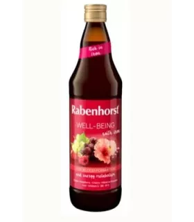 Zumo multifrutas vegano con flor de hibisco