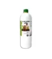 ALOE VERA + NONI ( BEBIBLE ) 1 L.